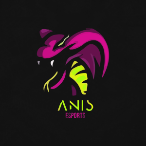Drużyna Anis Esports - Gampre.pl
