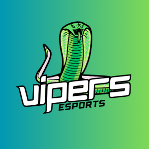 Drużyna esportowa VIPERS ESPORT - Gampre.pl