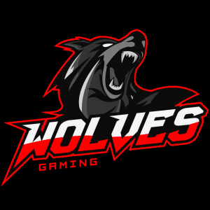 Drużyna Fight Wolves - Gampre.pl