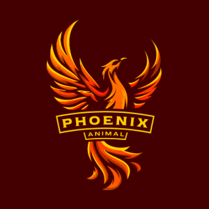 Drużyna Phoenix 6b - Gampre.pl