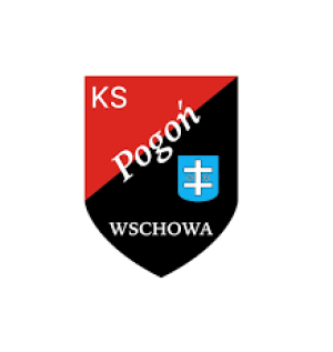 Drużyna esportowa Pogon Wschowa ALL IN - Gampre.pl