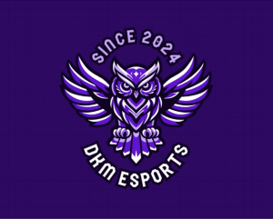 Drużyna esportowa DKM Esports - Gampre.pl