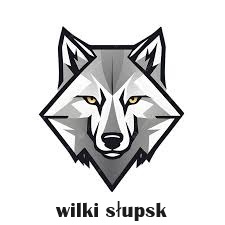 Drużyna esportowa wilki słupsk - Gampre.pl