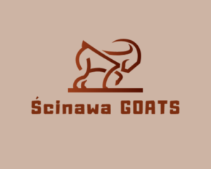 Drużyna esportowa Ścinawa GOATS - Gampre.pl