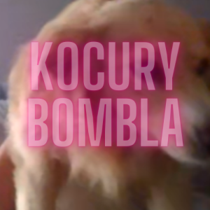 Drużyna Kocury Bobla - Gampre.pl