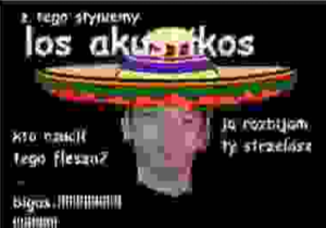 Drużyna Los akustikos - Gampre.pl
