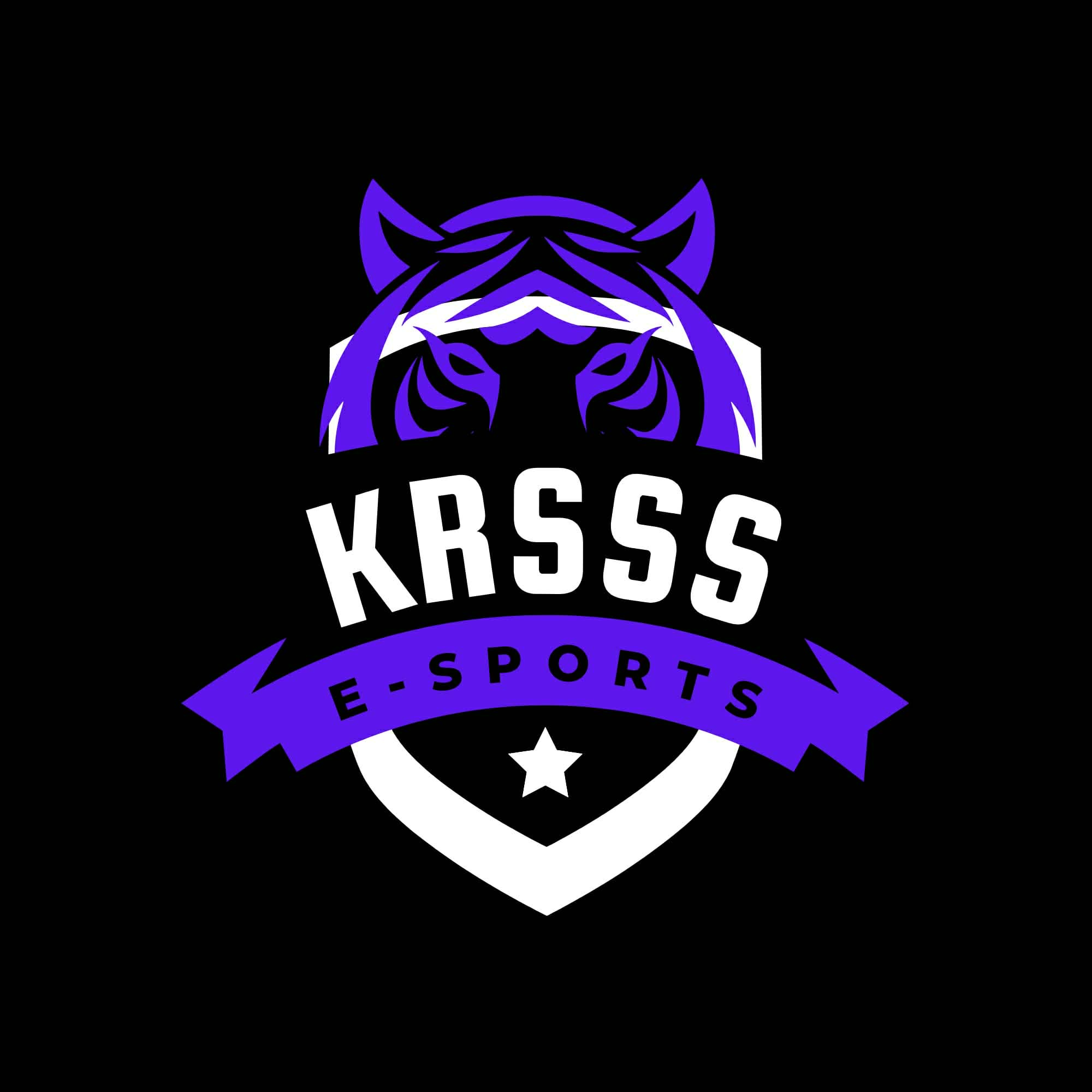 Drużyna esportowa KRSS - Gampre.pl