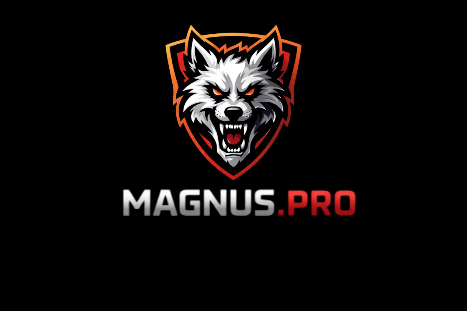 Drużyna esportowa Magnus.pro - Gampre.pl