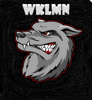 Drużyna WKLMN - Gampre.pl