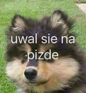 Drużyna Tinderboje - Gampre.pl