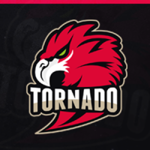 Drużyna esportowa TORNADO - Gampre.pl