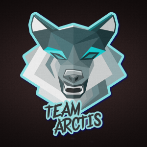 Drużyna esportowa TeamArctis - Gampre.pl