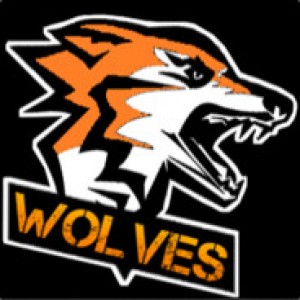 Drużyna TeamWolves - Gampre.pl