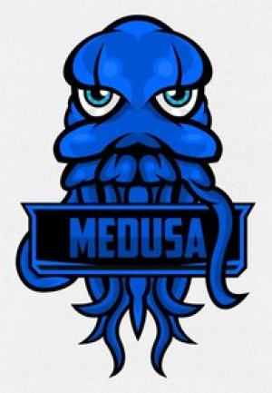 Drużyna Medusa Gaming - Gampre.pl