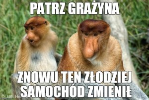 Drużyna esportowa Januszexd - Gampre.pl