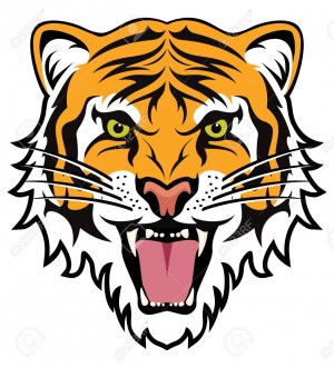 Drużyna esportowa Codewise Tigers - Gampre.pl
