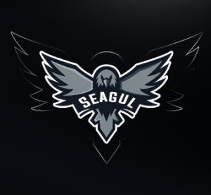 Drużyna Seagul Esport> - Gampre.pl