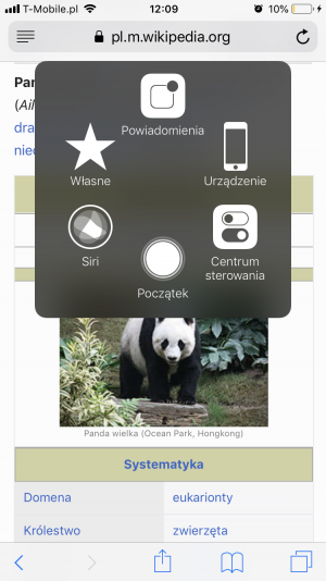 Drużyna Panda - Gampre.pl
