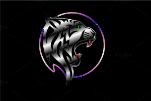 Drużyna BlackTigers - Gampre.pl