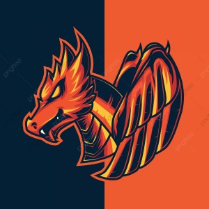 Drużyna esportowa ND Team - Gampre.pl
