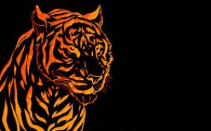 Drużyna TIGER_team - Gampre.pl