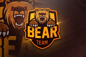 Drużyna esportowa Bear_Pro_Team - Gampre.pl