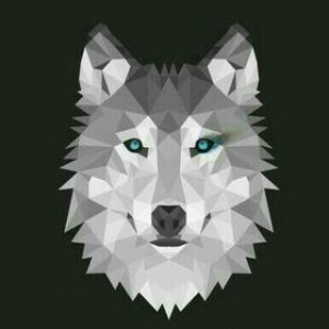 Drużyna wolf entertainment - Gampre.pl