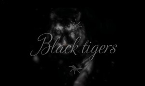 Drużyna BlackTigersTeam - Gampre.pl