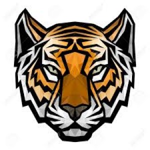 Drużyna Scary Tigers - Gampre.pl