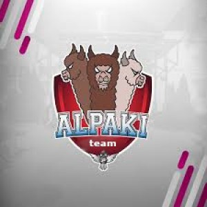 Drużyna esportowa alpaka team - Gampre.pl