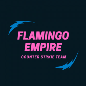Drużyna FlamingoEmpire - Gampre.pl