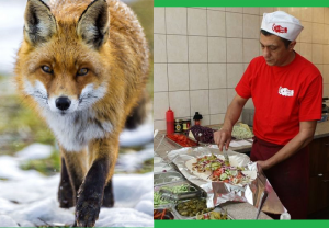 Drużyna Dwa Jakuby - Gampre.pl
