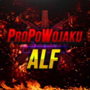 Gracz ALFI
