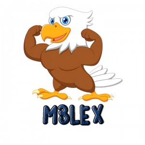 Gracz komputerowy - M3lex