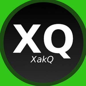 Gracz komputerowy - XakQ