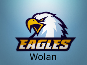 Gracz Wolan