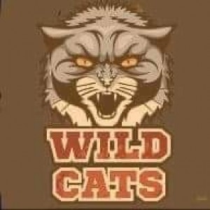 Gracz Dawidwildcats