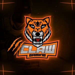 Gracz komputerowy - CLAWFLank