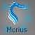 Gracz Morius