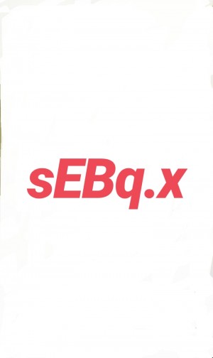 Gracz komputerowy - sEBq.x