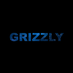 Gracz komputerowy - Grizzly