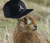 Gracz yaseq