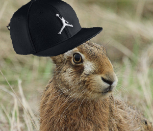 Gracz yaseq