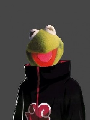 Gracz MistrzOrbi