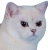 Gracz beniugaming