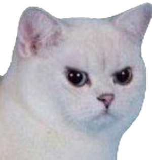Gracz beniugaming