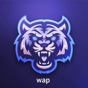 Gracz Wapjackob
