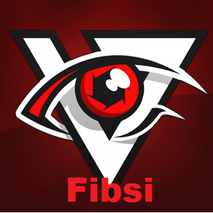 Gracz Fibsi