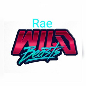 Gracz komputerowy - Rae11