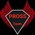 Gracz PROSS